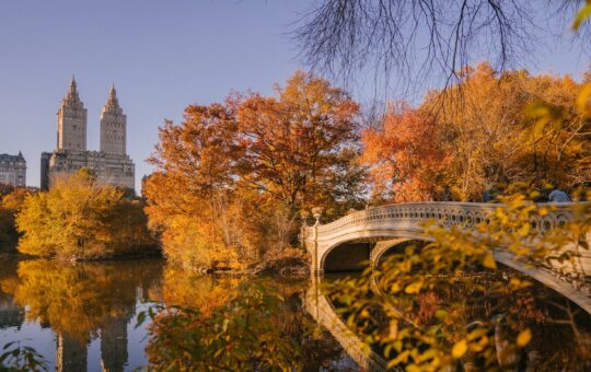 bow bridge crossing calm lake in autumn park