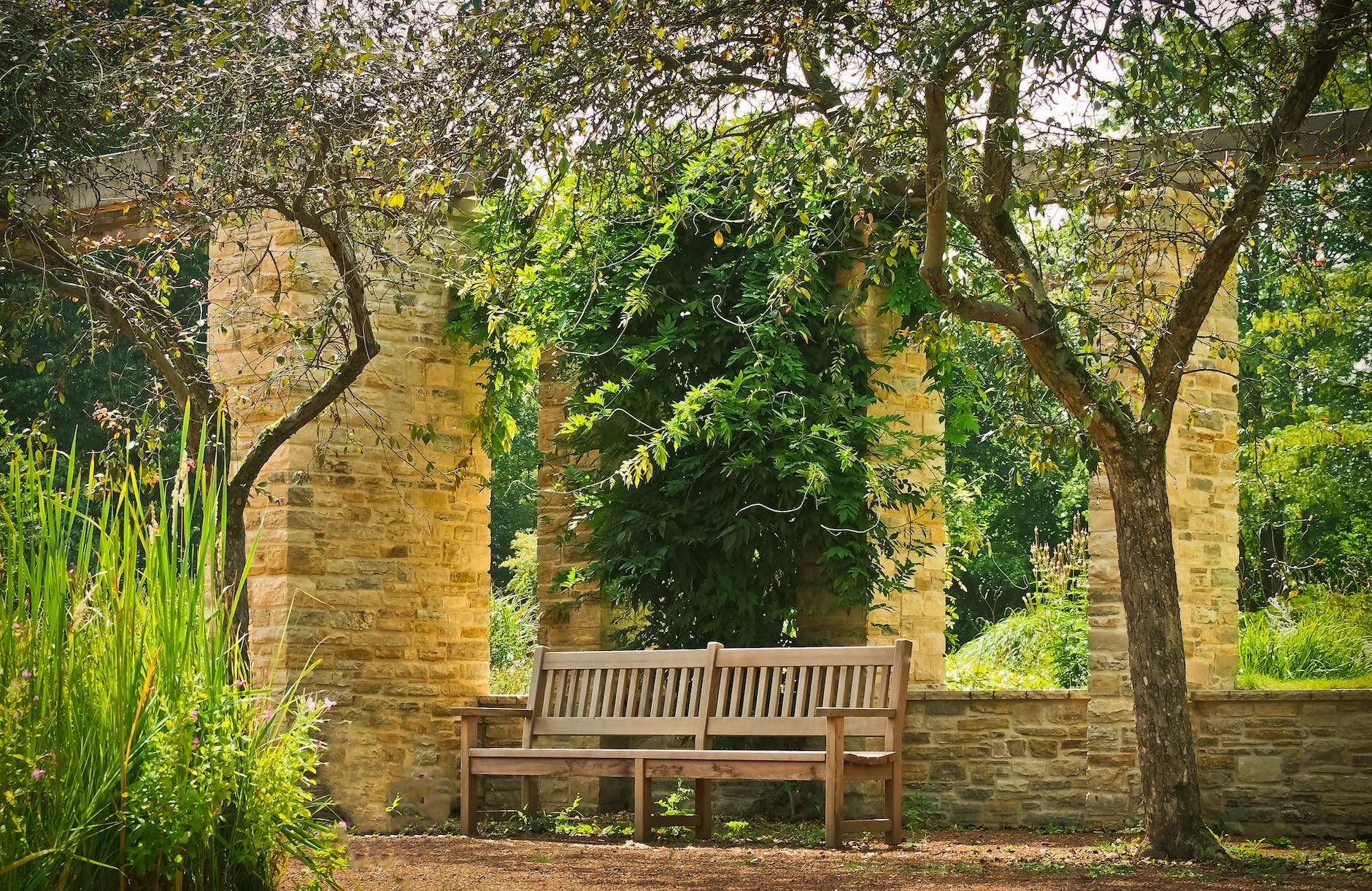 empty bench at a garden