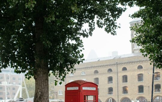 red telephone booth near green trees