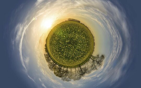 Flowers meadow mini planet