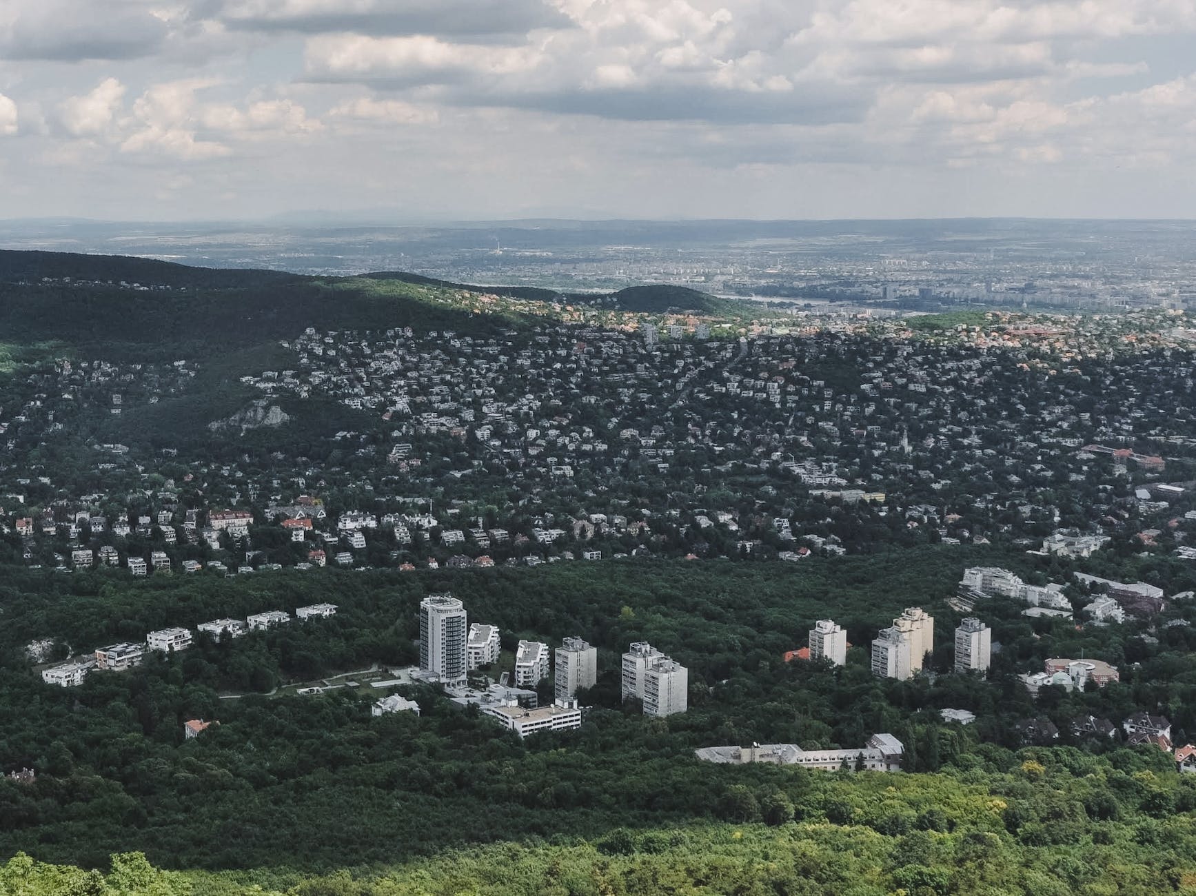 city among trees