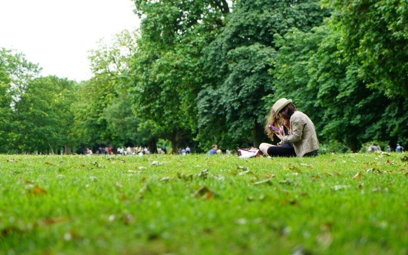 people sitting on green grass field