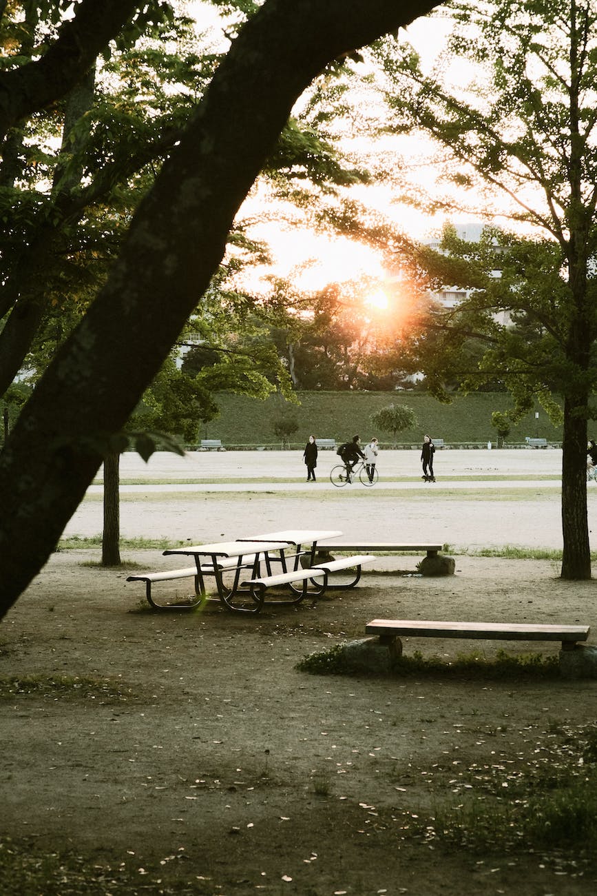 benches and table in park