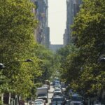 Urgente Renovación Verde: La Estrategia Esencial para Gestionar el Futuro Arbolado de Nuestras Ciudades.
