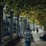 pedestrians walking on the sidewalk under autumnal trees in city