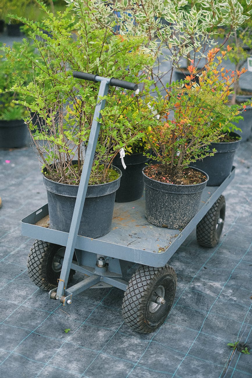 potted plants placed on garden cart