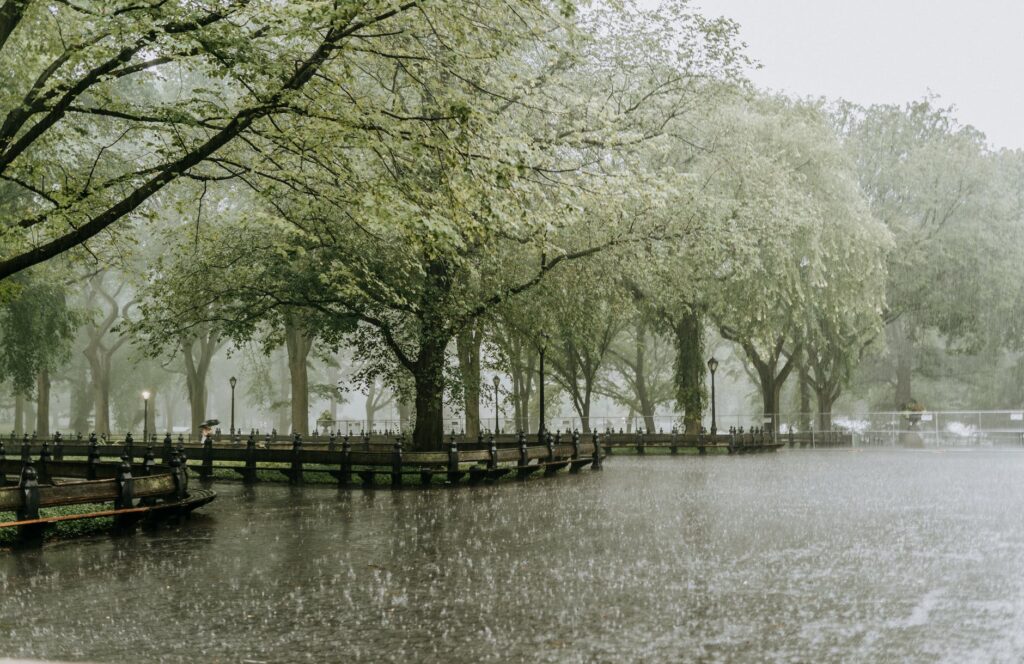 rain in a park hitting the surface of a pond